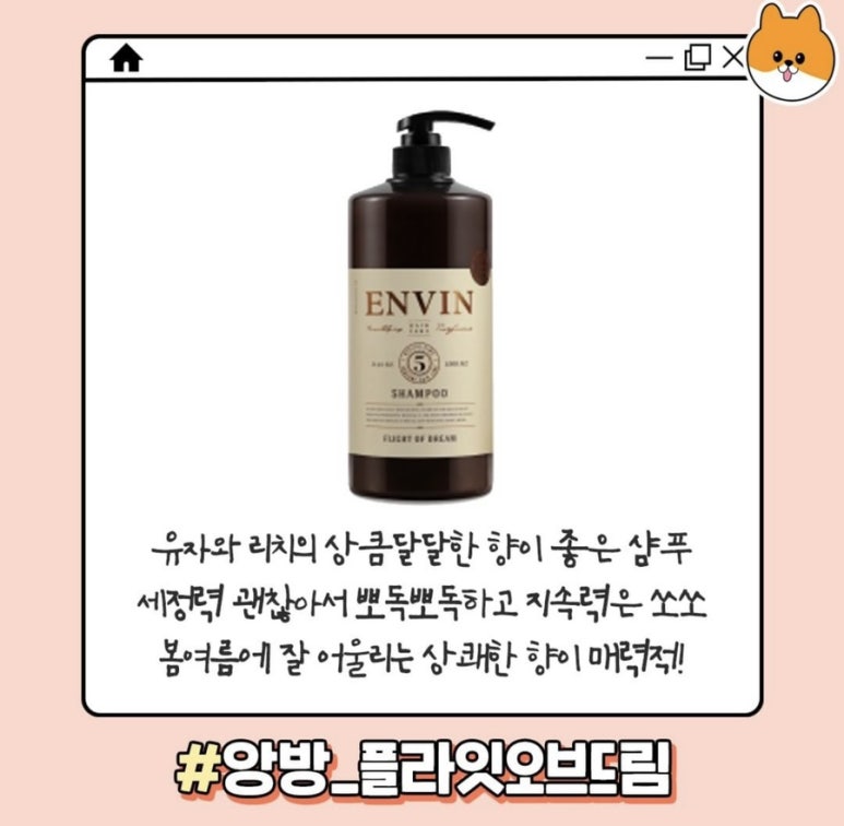 드림오브미 이미지