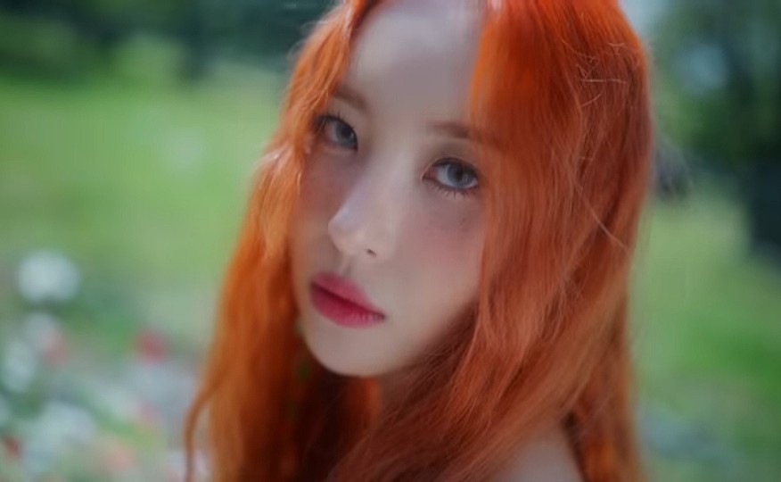 미야컴퍼니 이미지