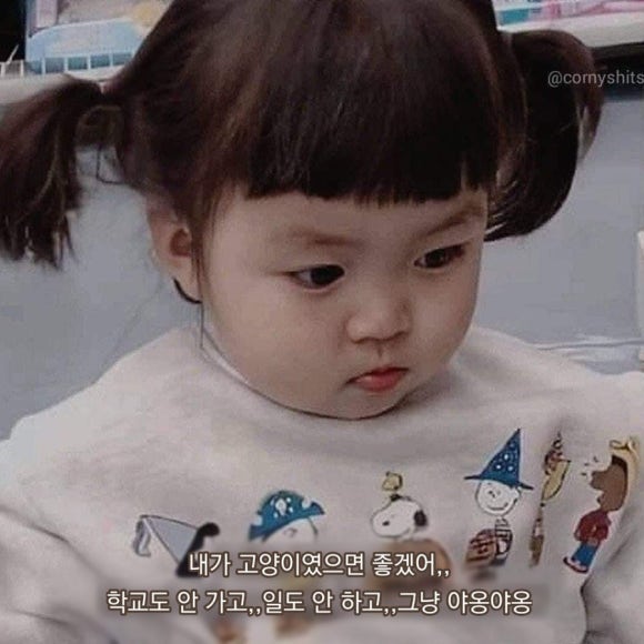 로로7 이미지