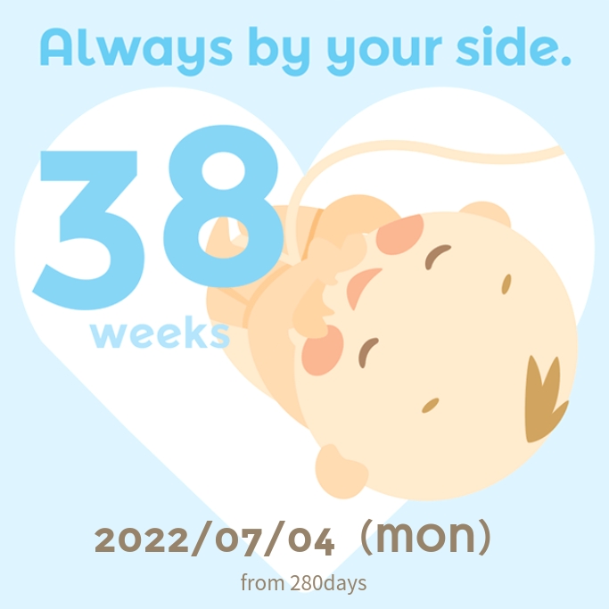 빠꿈사리 이미지