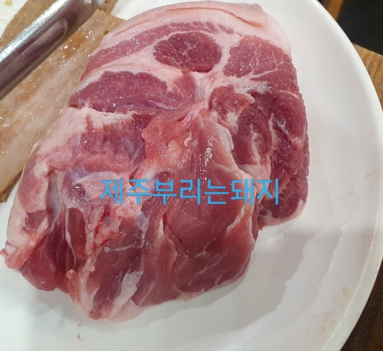 제주부리는돼지 이미지