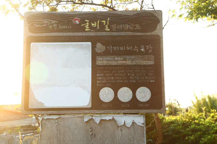 가마미야영장 이미지