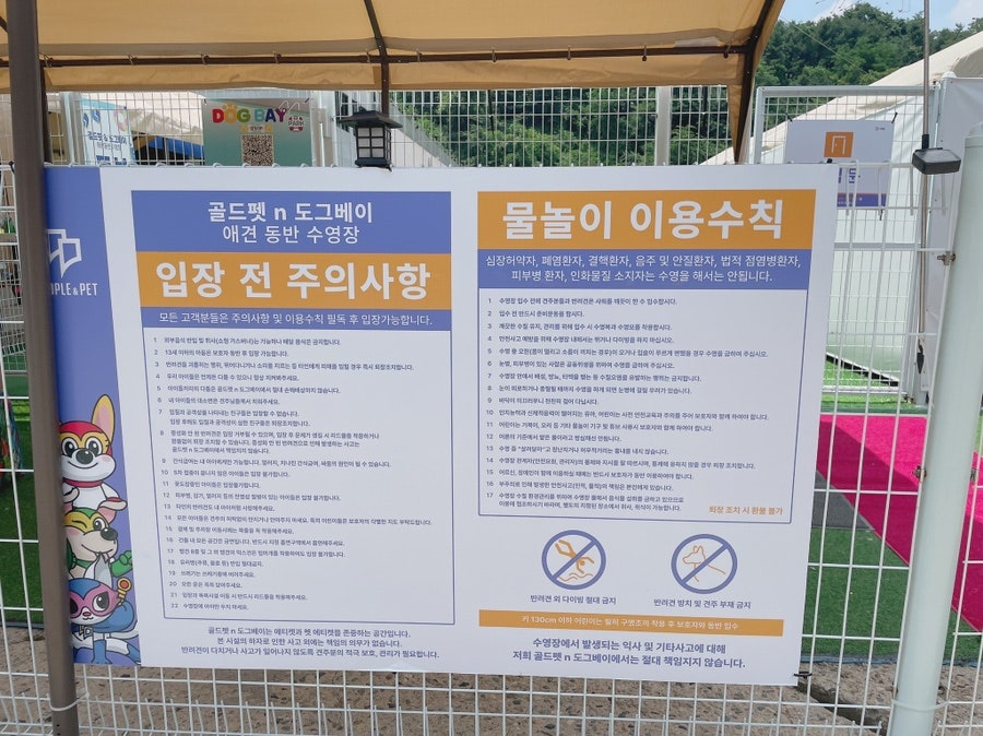 골드펫n도그베이 강아지 수영장, 애견동반 물놀이 비용 — 사진 2
