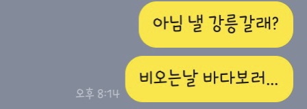 시드니모텔 이미지