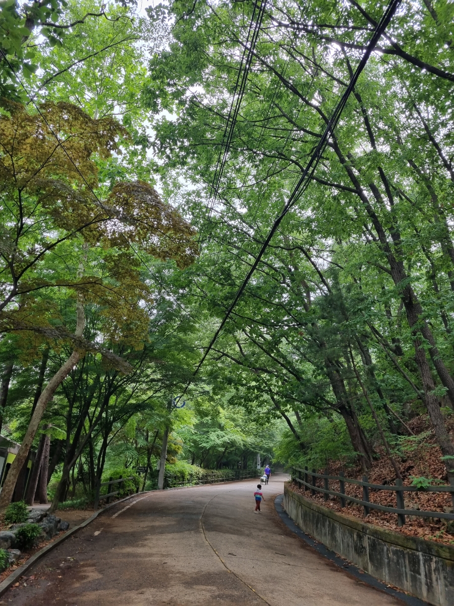 관악산 계곡 캠핑장 이미지