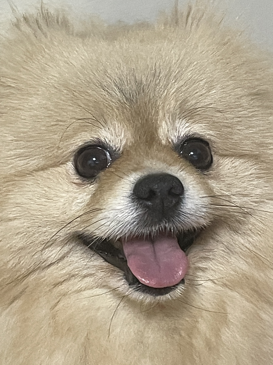정희미장원 이미지