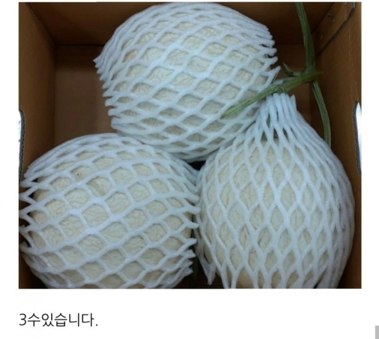 삼촌이모과일 이미지