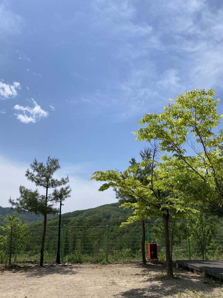 농업회사법인(주)호수 이미지