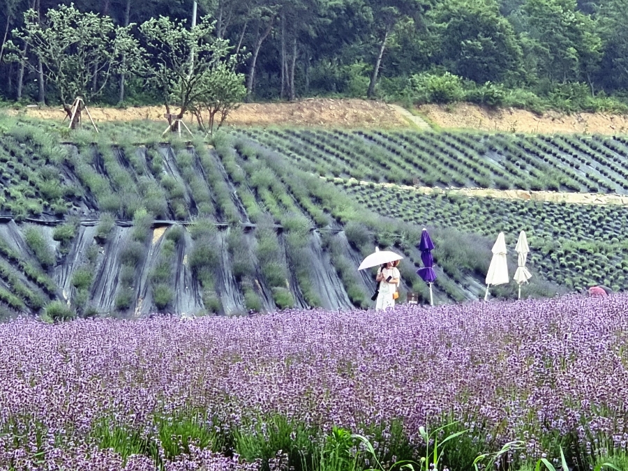 (주)행복한농장 이미지