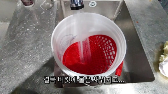 삼식육계 이미지