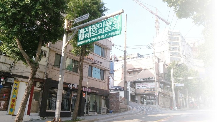 클레오헤어 이미지