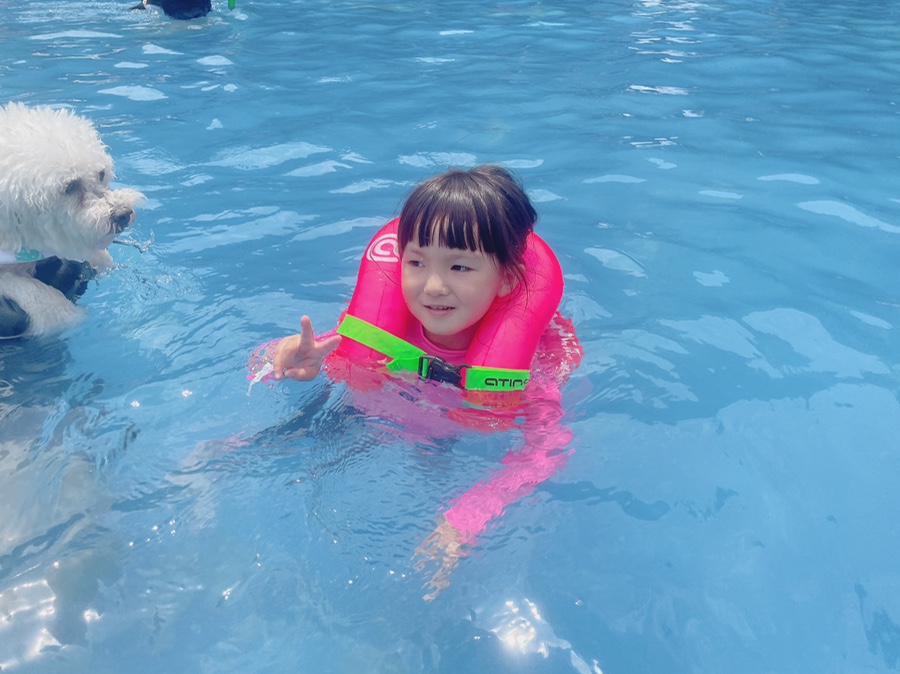 골드펫n도그베이 강아지 수영장, 애견동반 물놀이 비용 — 사진 18