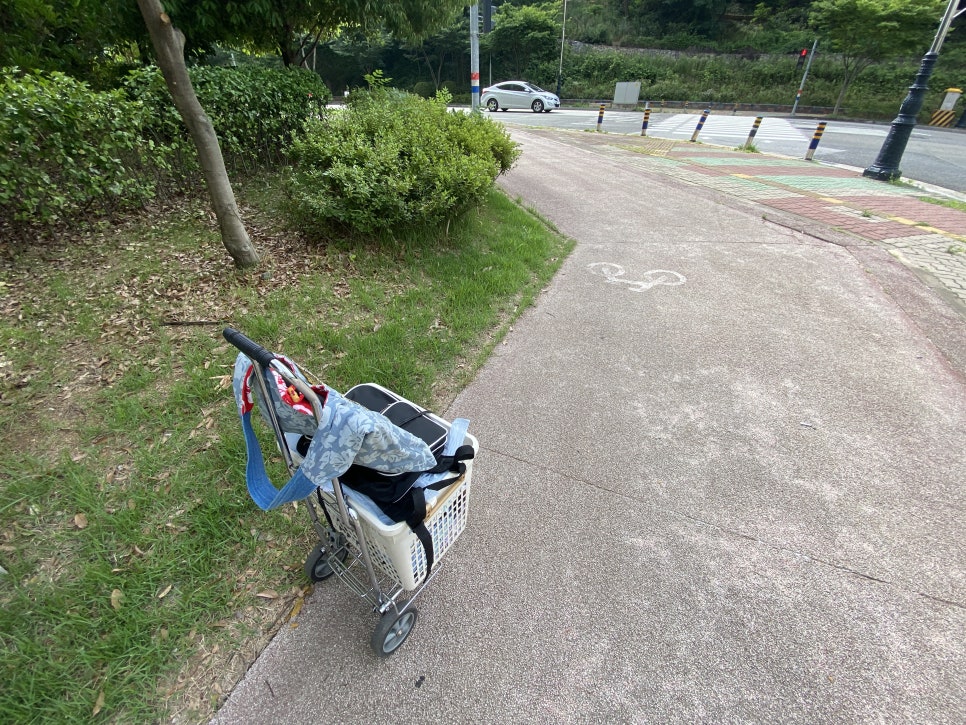 빨래셀프크리닝 이미지