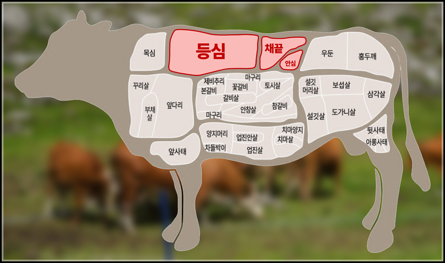 꽃보다 등심 이미지