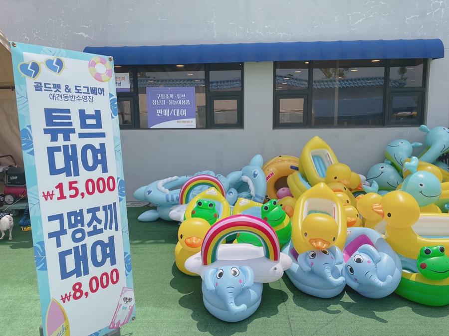 골드펫n도그베이 강아지 수영장, 애견동반 물놀이 비용 — 사진 4