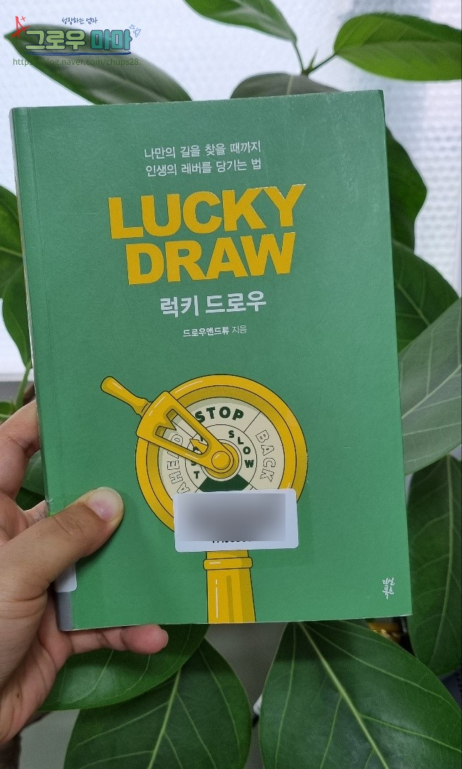 그로우&드로우 이미지