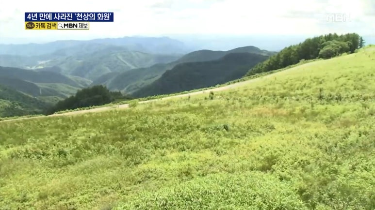 강원꽃화원 이미지