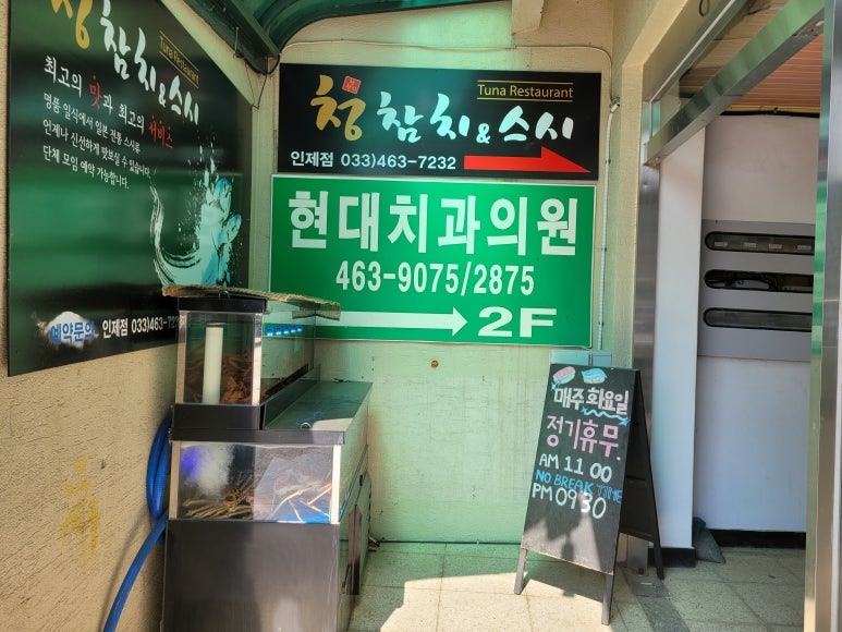 청참치 이미지
