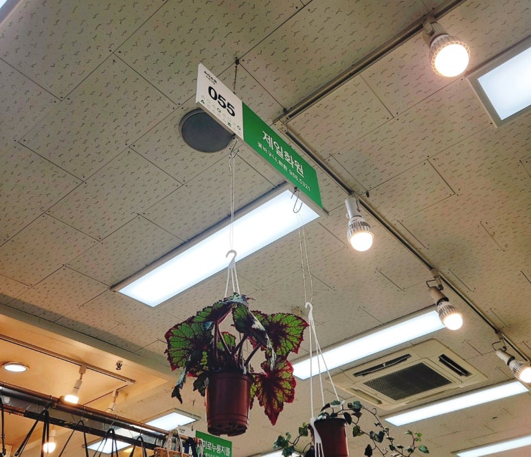 강북화원 이미지