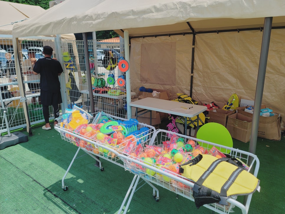 용인 강아지 수영장 골드펫앤도그베이 재방문 후기 — 사진 8