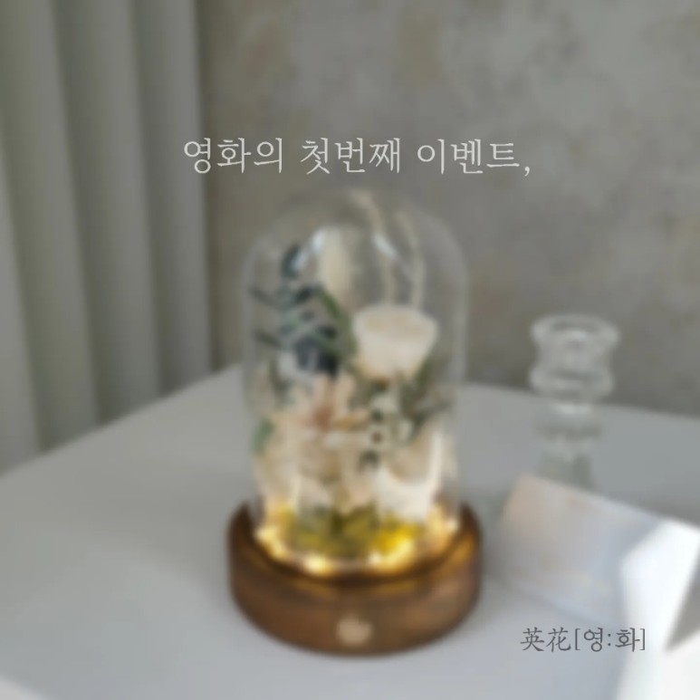 영플라워 이미지