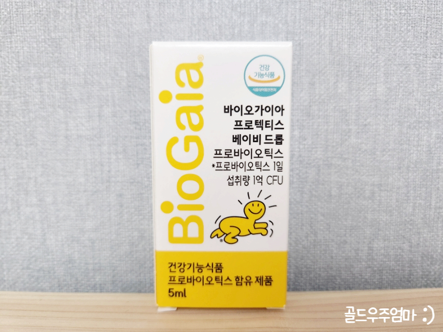 가이아인터내셔널 이미지