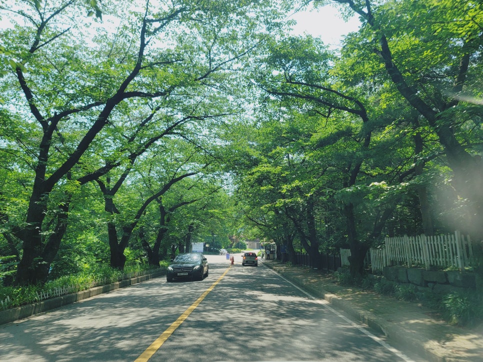 용인 강아지 수영장 골드펫앤도그베이 재방문 후기 — 사진 3