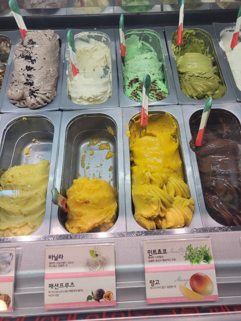 페르케노 이미지