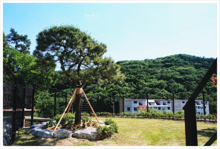 참좋은조경 이미지