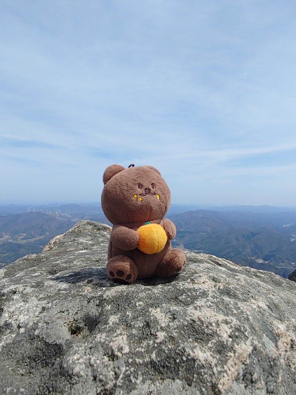 귤곰 이미지