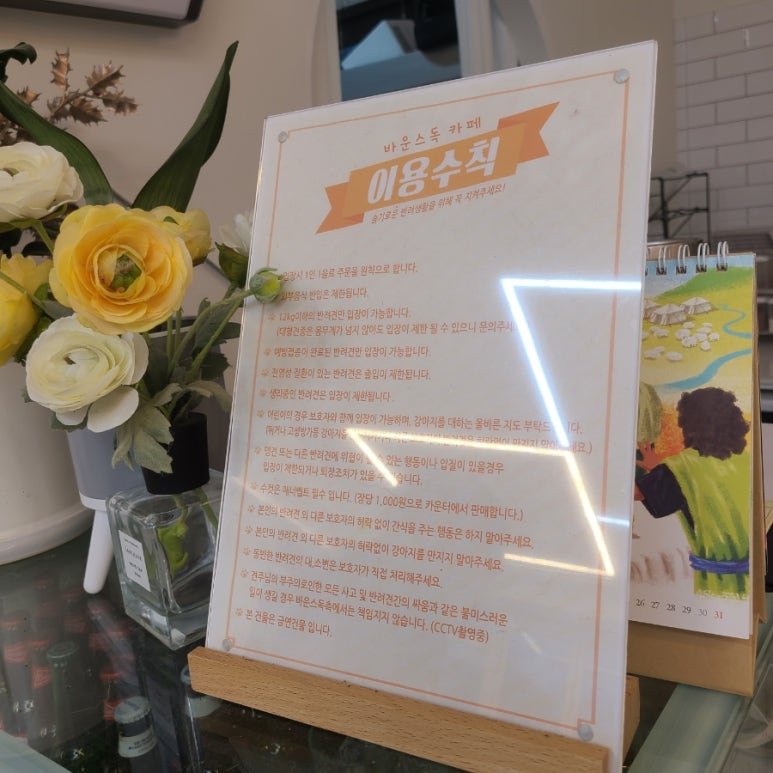 바운스독카페 이미지