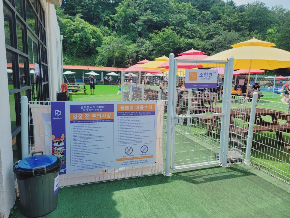 용인 강아지 수영장 골드펫앤도그베이 재방문 후기 — 사진 9