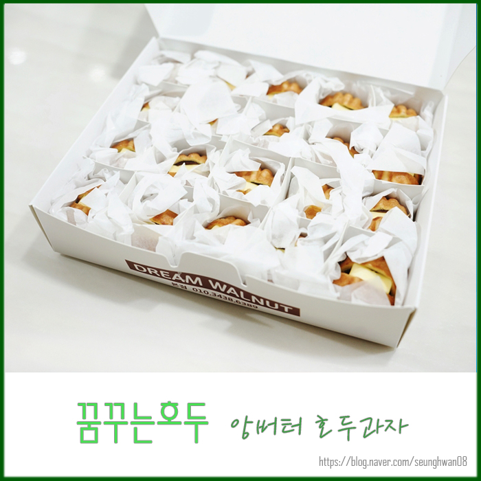 꿈꾸는호두 이미지