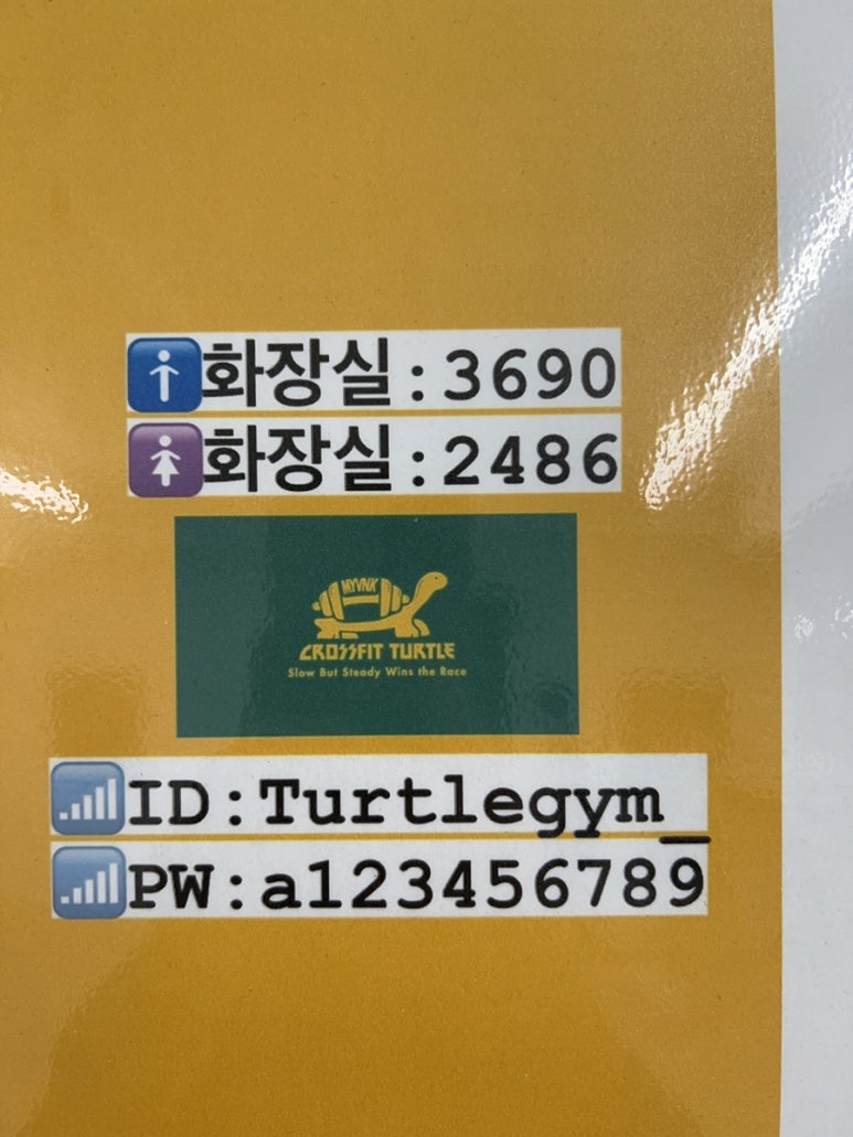 크로스핏터틀 이미지