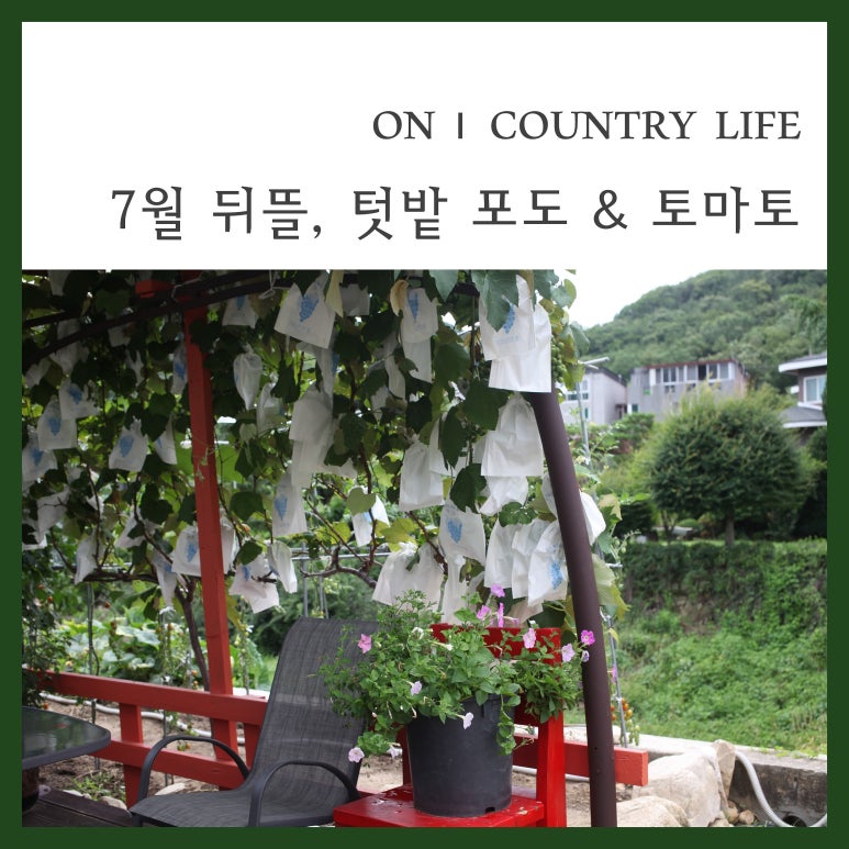 온온심리코칭센터;온카페 이미지