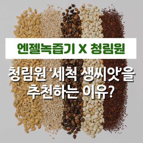 (주)엔젤식품 이미지