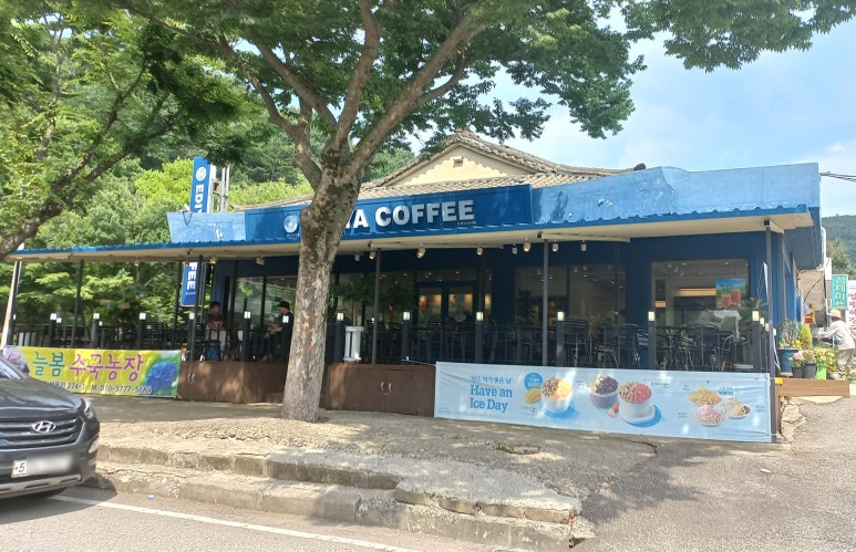 이디야커피김제 이미지