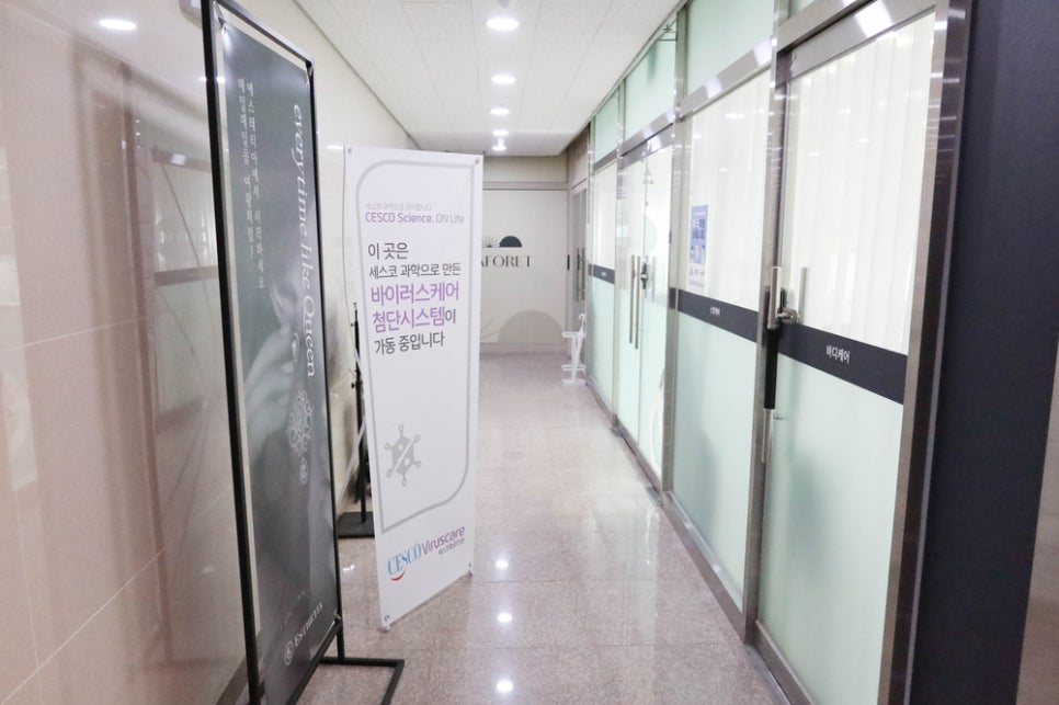 에스테티아세종소담 이미지