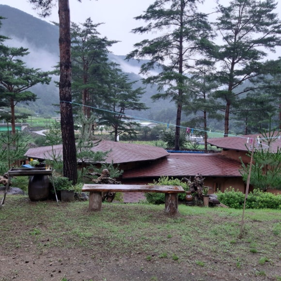 숲속 황토 민박 이미지