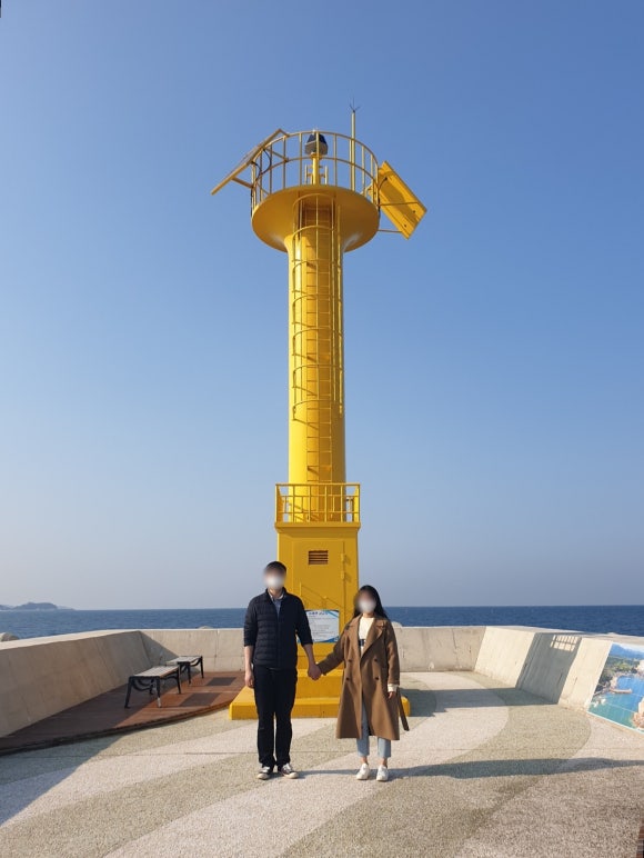 송이전집 이미지