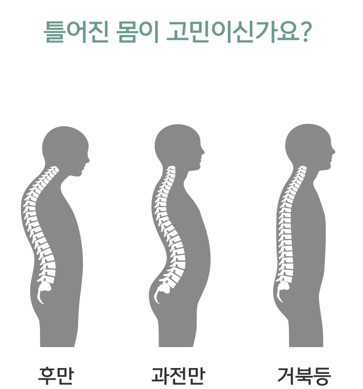 올곧은바른자세 이미지