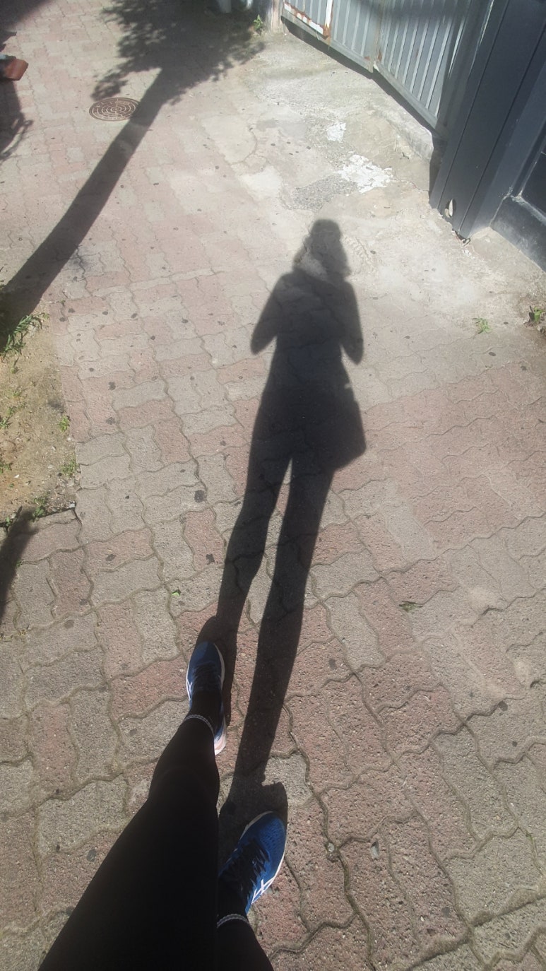 불막열삼 진주칠암점 이미지