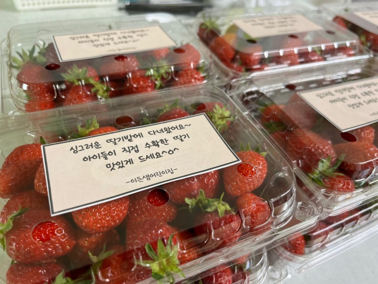 이든샘어린이집 이미지