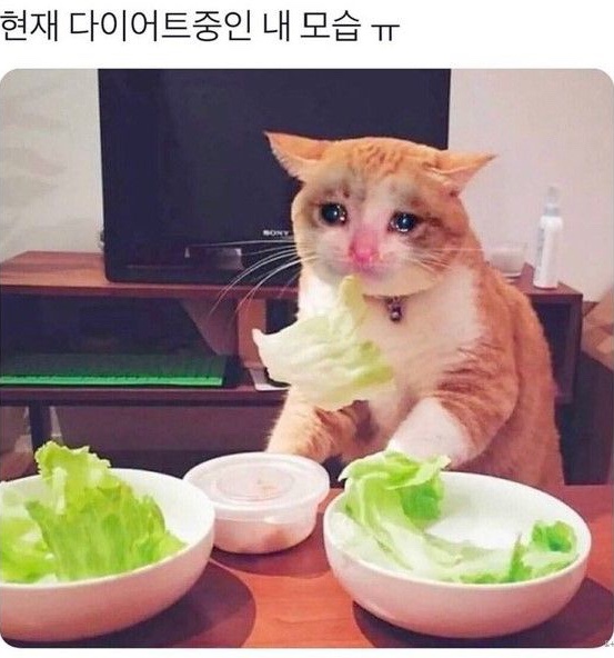 더샌드위치샵 이미지