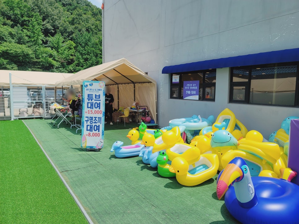 용인 강아지 수영장 골드펫앤도그베이 재방문 후기 — 사진 7