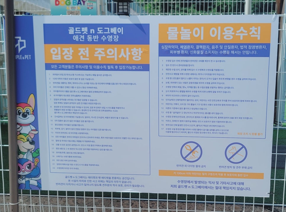 용인 강아지 수영장 골드펫앤도그베이 재방문 후기 — 사진 6