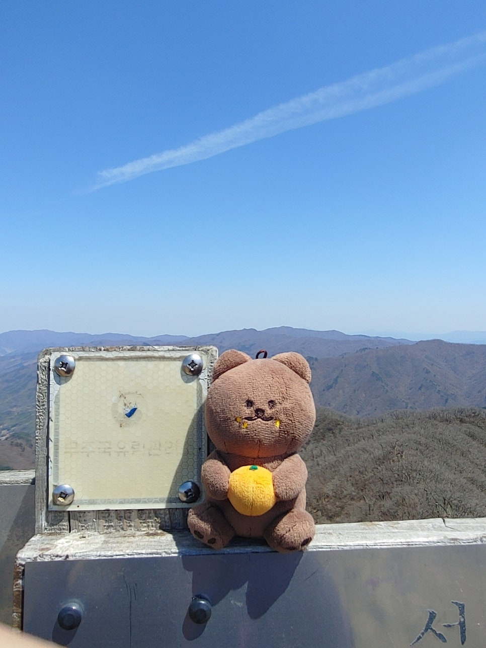 귤곰 이미지