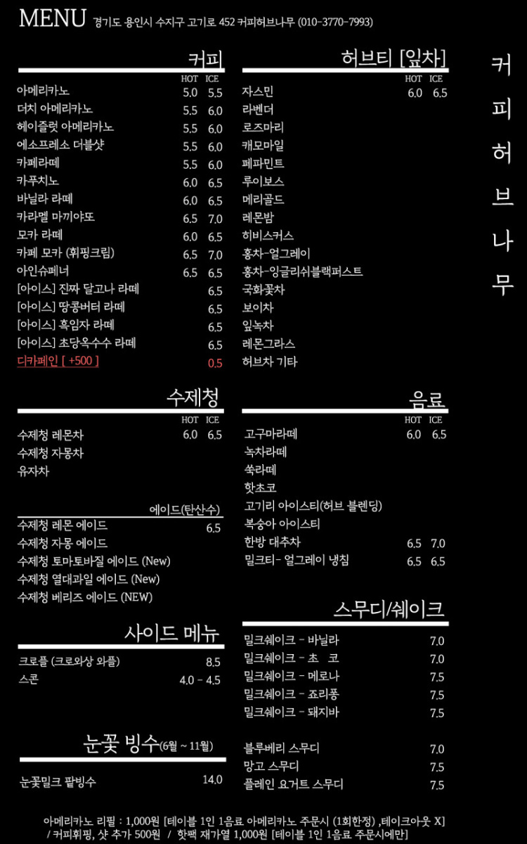 커피허브나무 이미지