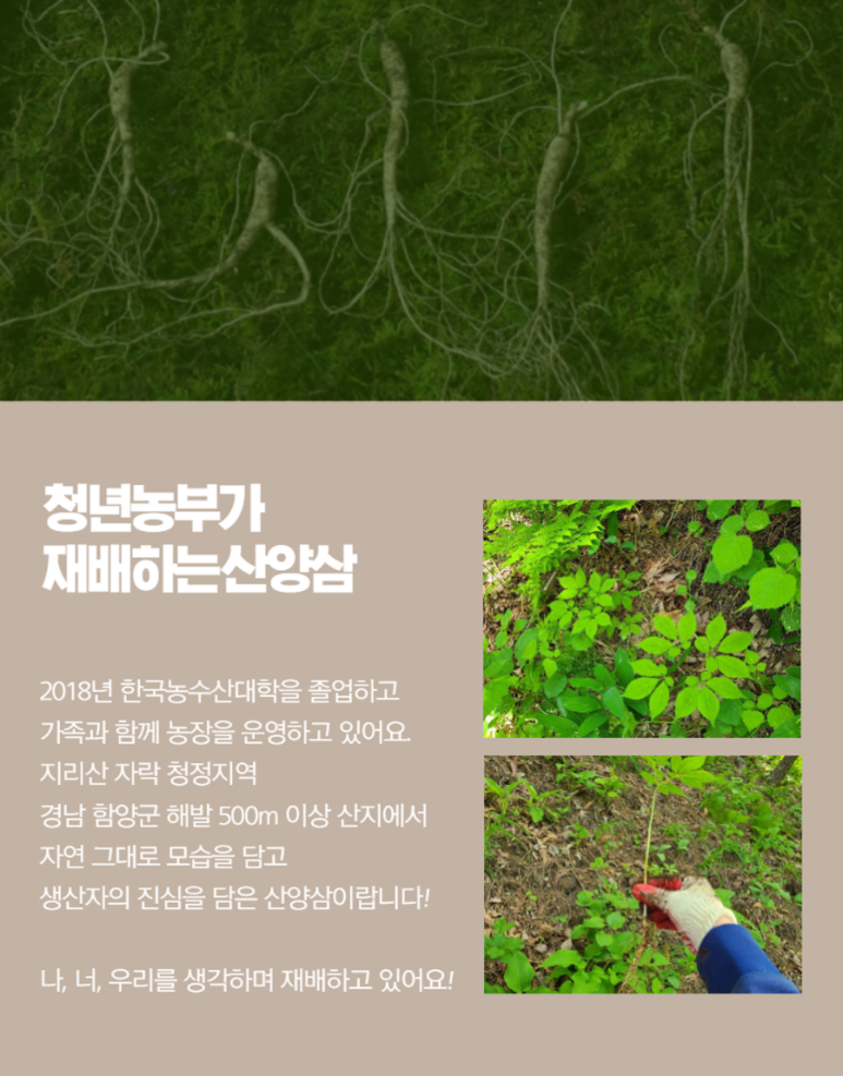 힐링팜 농업회사법인 주식회사 이미지