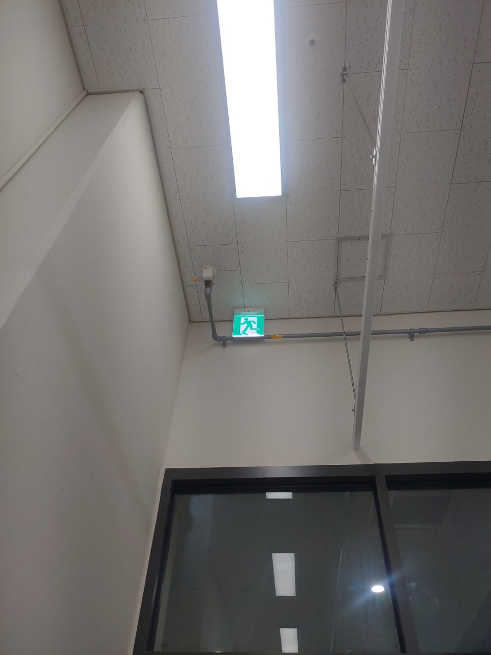 카츠몬 이미지